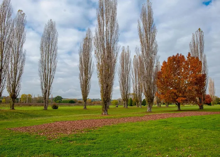 Fatucchi Tuscany, Italy フォイアーノ・デッラ・キアーナ